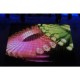 Panneaux video leds
